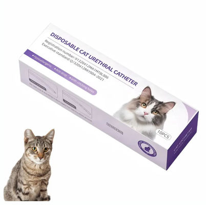 Harga yang pantas Kateter Urin Kucing dengan Stilet – Kateter Retensi dan Pembilasan Hewan Profesional untuk Perawatan Kucing on line