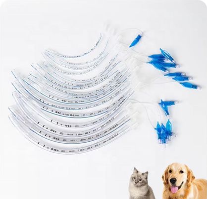 Beli Tabung Endotracheal Anjing Dibekali Tabung Intubasi PVC Berkualitas Medis untuk Hewan Peliharaan pembuatan online