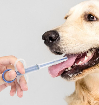 Harga yang pantas Feeding Tube Pet Dog Cat Pill Gun Medicine Syringe Feeding Kit Durable Plastic on line