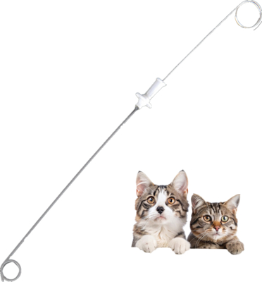 Beli Catheter Stent Urinary Hewan yang Bisa Diasorpsi, Dengan Plat Suture Wire Guide, Cocok untuk Anjing Kucing 3Fr 4Fr, Ginjal, Ginjal Veterinary, Bahan PU pembuatan online