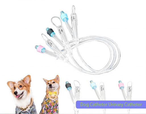 Beli Hewan Medis Hidrofilik Lapisan Silikon Hewan Super-pelumasan 2 Arah Kateter Foley Silikon Murni Bedah Urin untuk Anjing pembuatan online