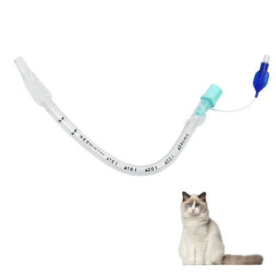 Beli Pengelolaan Jalur Udara Veterinary ️ Tabung Endotracheal yang Diperkosa & Tidak Diperkosa untuk Perawatan Darurat Hewan pembuatan online