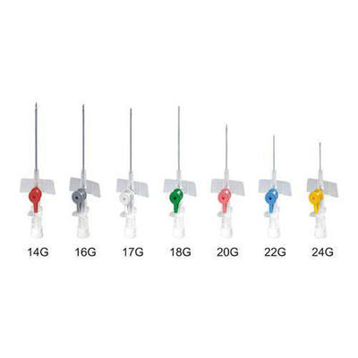 Beli Disposable Butterfly IV Cannula with Winged Design for Easy Insertion and Secure Placement pembuatan online