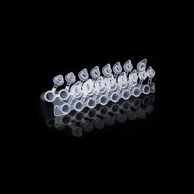 Harga yang pantas Tutup Berbentuk Kubah 0,2ml Tabung PCR 8 Strip Dengan Tutup Terpasang Pipa PCR Delapan Terhubung on line