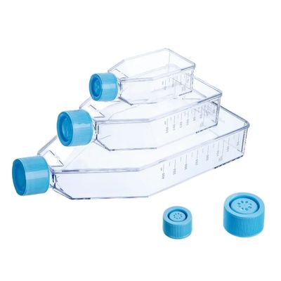 Harga yang pantas Botol Kultur Sel Plastik Steril Dengan Labu Kultur Sel Penutup Berventilasi T25 T75 T175 on line
