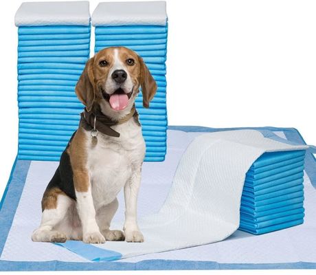Harga yang pantas Pelatihan Popok Anak Anjing Tahan Air 45*50Cm Kencing Urine Hewan Peliharaan Sekali Pakai untuk Bantalan Anjing on line