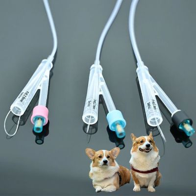 Harga yang pantas Kateter Urin Anjing Veteriner – Bahan PVC/Silikon Berkualitas Tinggi, Solusi Tahan Lama untuk Perawatan Hewan Peliharaan on line