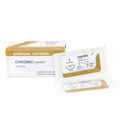 Harga yang pantas Jahitan Bedah Medis Katgut Polos Sekali Pakai Rumah Sakit dengan Jarum PGA/pdo/sutra/nilon/katgut Jahitan Bedah Steril on line