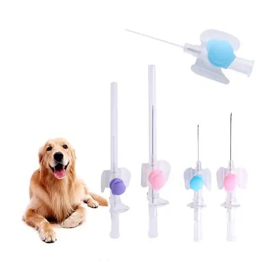 Harga yang pantas ISO Certificate Disposable IV Cannula Jarum suntik intravena Kateter Veteriner Kupu-kupu Tipe IV Cannula on line