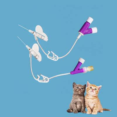 Harga yang pantas IV Cannula Harga 14g 16g 18g 20g 22g 24g 26g Kateter IV untuk Kucing dan Anjing Tipe Y Fiksasi yang Lebih Baik on line