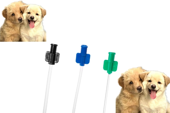 Harga yang pantas Kateter Urinasi Anjing PVC Flushing Retention Pet Tube untuk Perawatan Urinasi Anjing on line