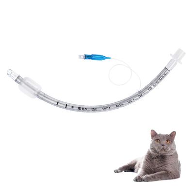 Harga yang pantas Veterinary Reinforced Endotracheal Tube Medical Grade PVC dengan Kateter Anestesi Transparan Berbentuk Balon Zaitun untuk Rumah Sakit Hewan on line