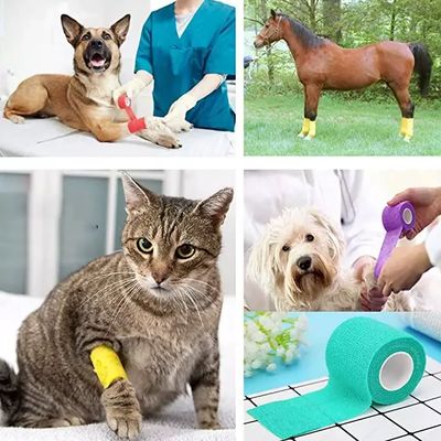 Harga yang pantas Perban Elastis Kelas Medis untuk Hewan, Perban Kohesif Non-Steril Kelas I, Perban Fleksibel yang Melekat Sendiri untuk Perawatan Luka & Dukungan Sendi Anjing Kucing on line