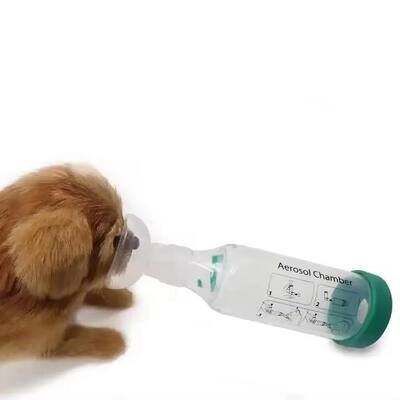 Harga yang pantas Anti-statis PP Material Veterinary Nebulizer Chamber dengan katup pernapasan silikon dan tiga masker untuk pengobatan pernapasan yang efektif on line