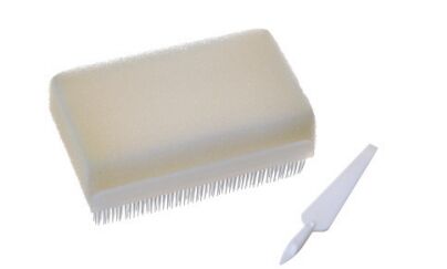 Harga yang pantas Sikat Scrub Tangan untuk Penggunaan Medis – Dirancang secara Ergonomis, Tahan Lama, Bulu Anti-Bakteri untuk Lingkungan Perawatan Kesehatan on line